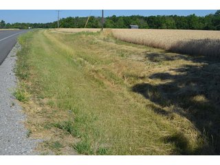 Property photo 49 - 108 +/- Acres Offered in 2 Tracts - Land Auction